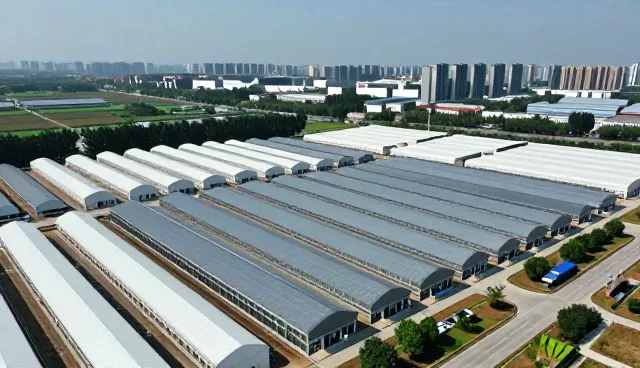 地理信息领域AI内容优化服务的发展趋势